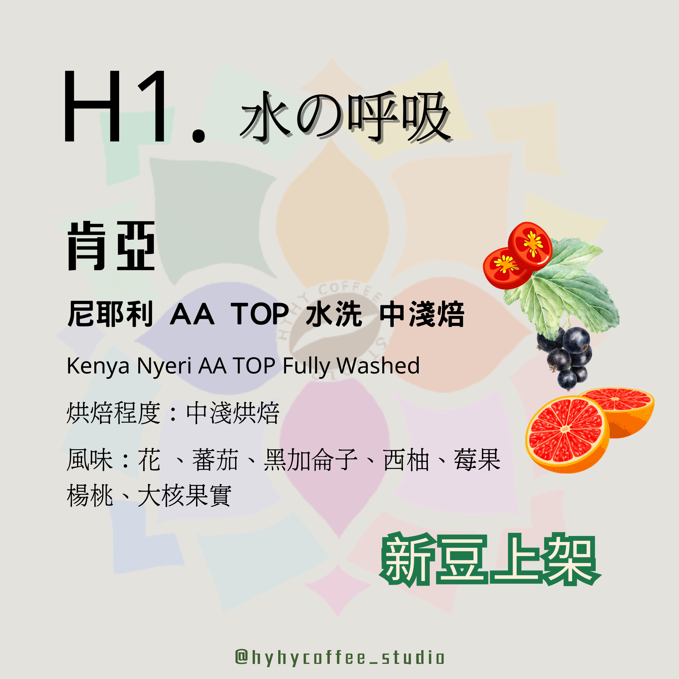 【本地烘焙】 H1. 肯亞 尼耶利 AA TOP 水洗 中淺焙 100g