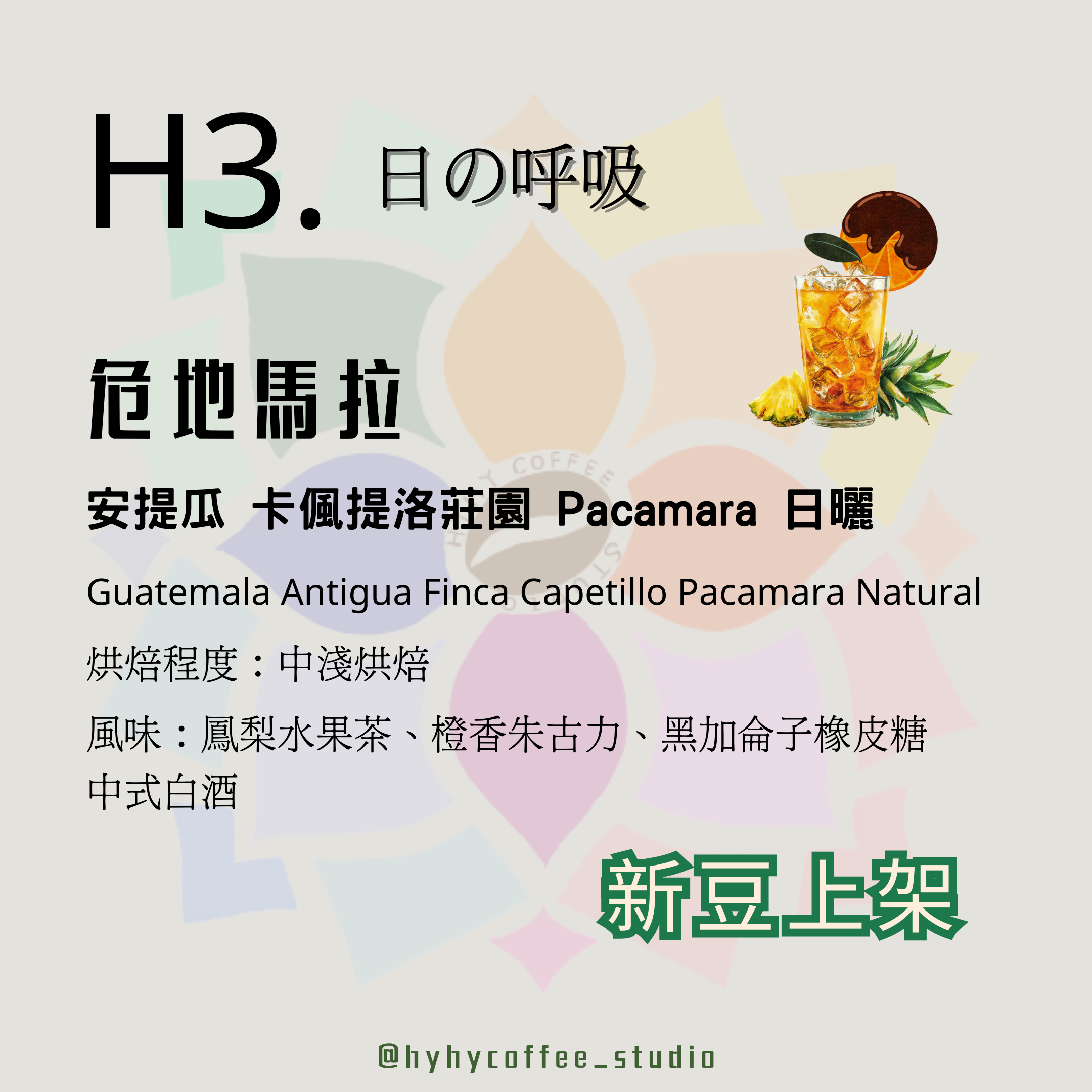 【本地烘焙】H3. 危地馬拉 安提瓜 卡偑提洛莊園 Pacamara 日曬 100g