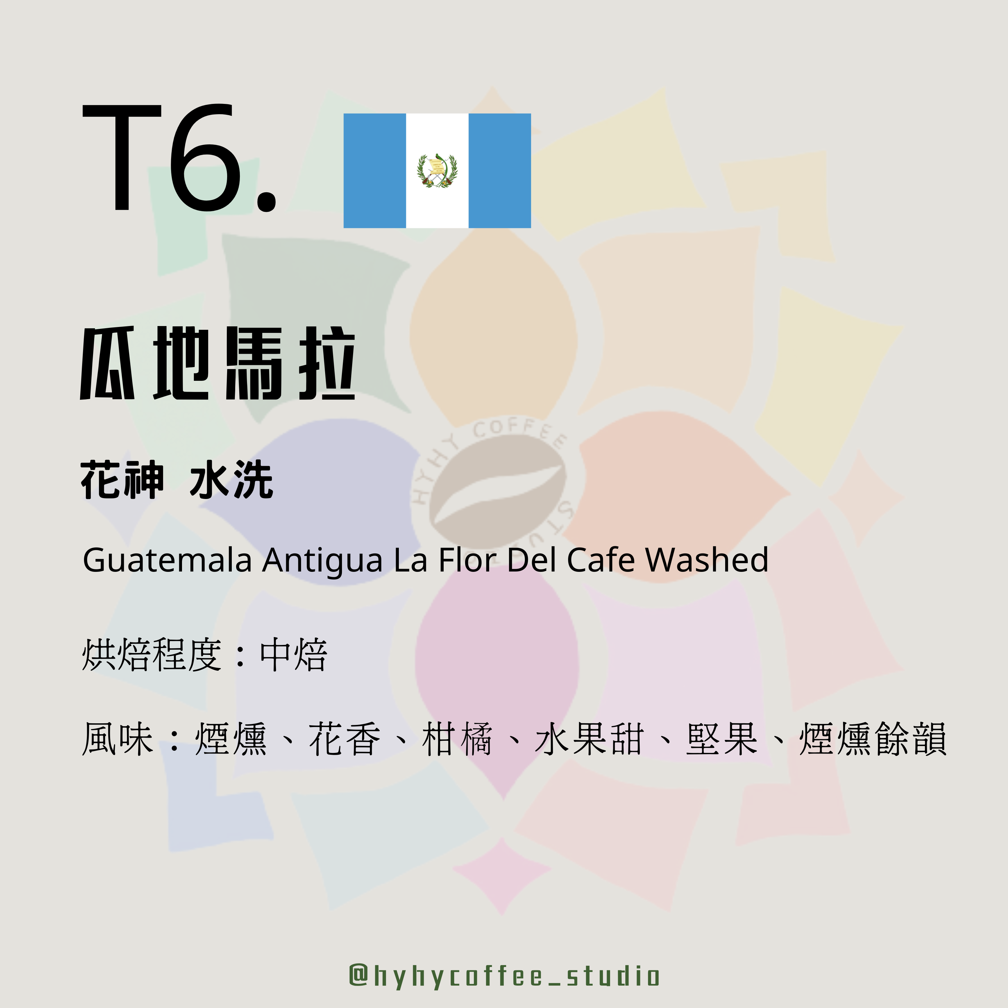 T6.【台灣烘焙】瓜地馬拉 花神 水洗 227g