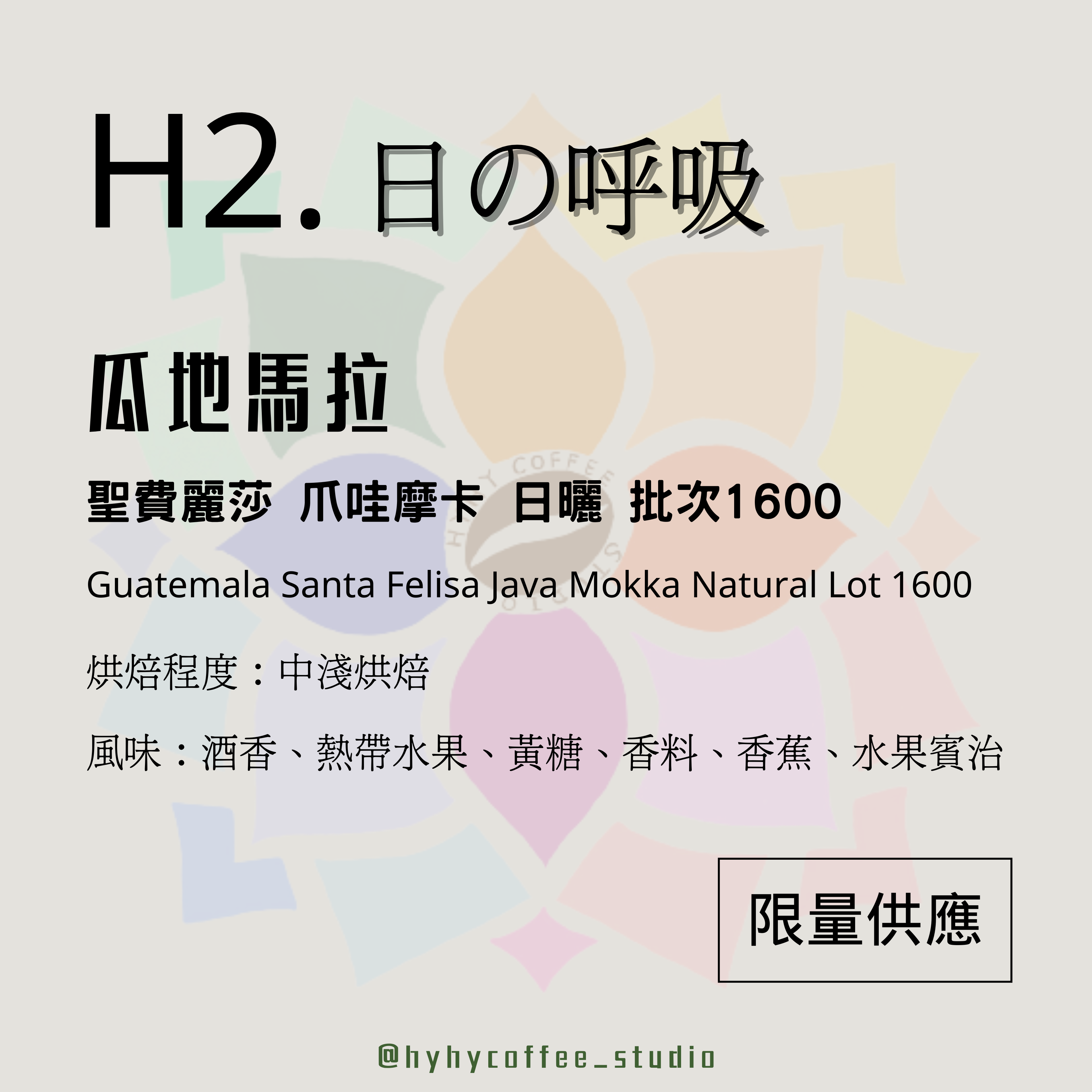 【本地烘焙】H2. 瓜地馬拉 聖費麗莎 爪哇摩卡 日曬 批次1600 100g